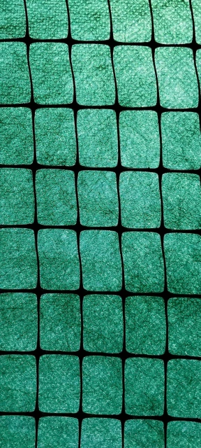 Green Grid Pattern