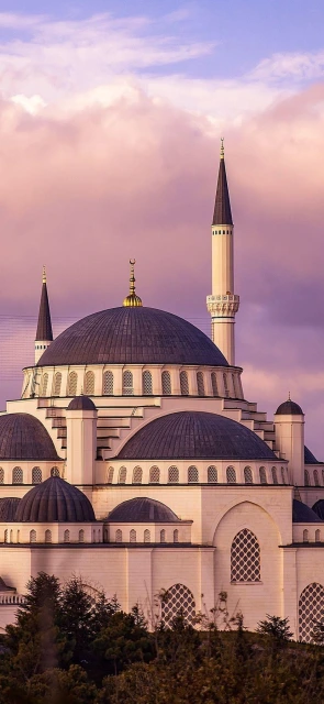 Mosque With Domes and Minarets