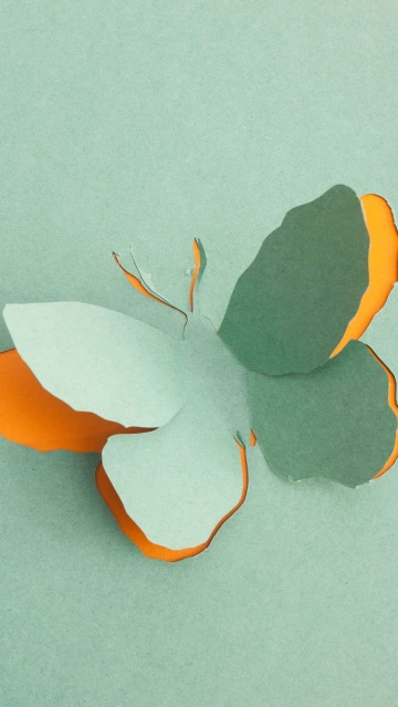Paper Cutout Butterfly