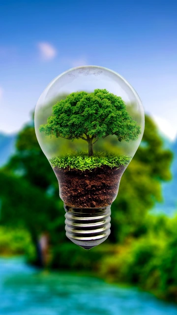 Tree in Light Bulb