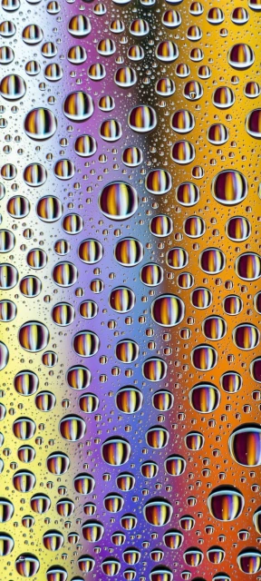 Water Droplets on Glass