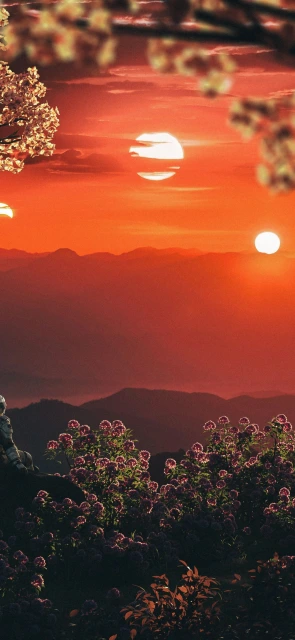 Astronaut Sunset Mountains Flowers