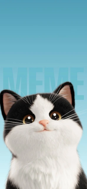 Black and White Cat Meme