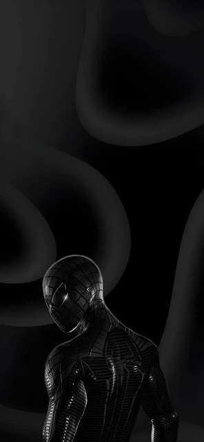 Black Spiderman Suit