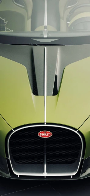 Bugatti Front Grille and Hood
