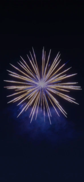 Bursting Fireworks in Night Sky