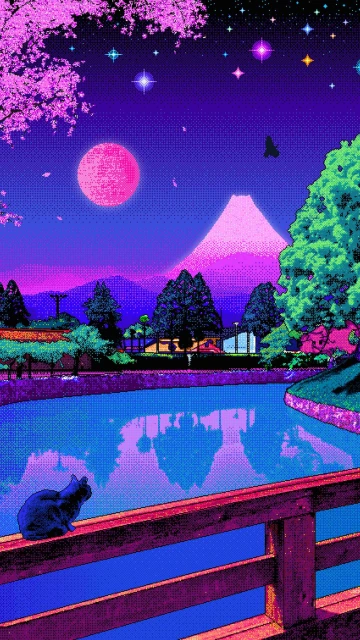 Cat on Bridge at Night