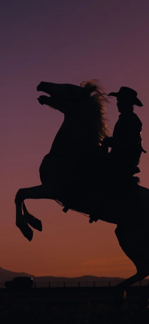 Cowboy Silhouette Rearing Horse Sunset