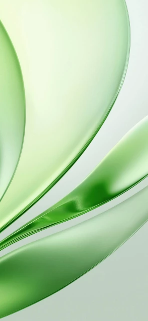 Glossy Green Curved Abstract Shapes