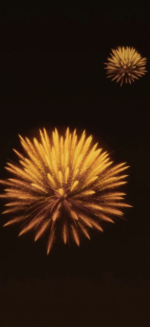 Golden Fireworks Explosion