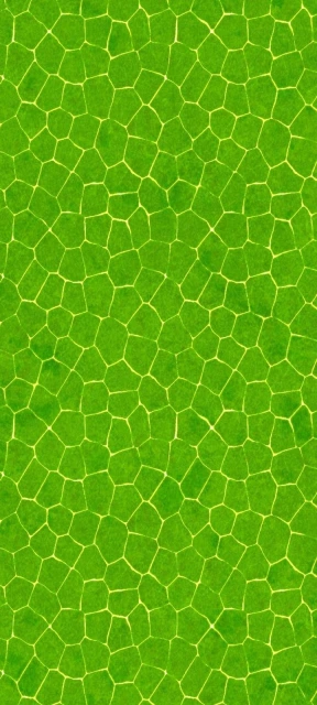 Green cellular pattern background