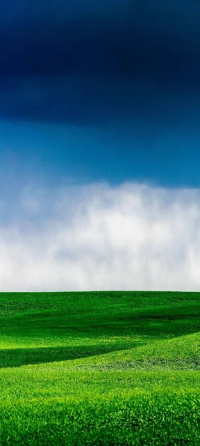 Green Grass Landscape Sky Background