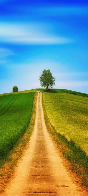 Landscape Path Green Background