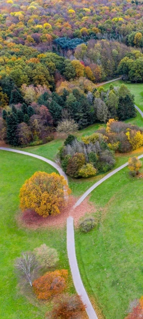 Park Path Background