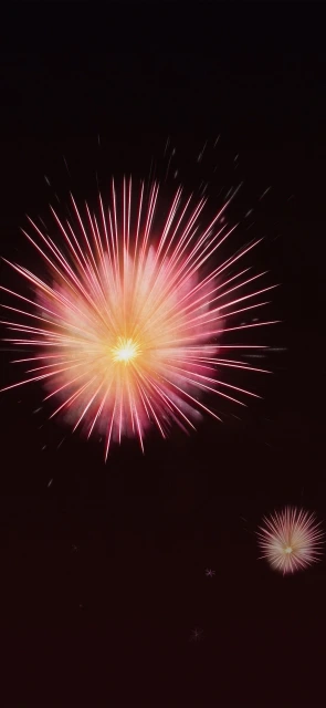 Pink and Yellow Fireworks