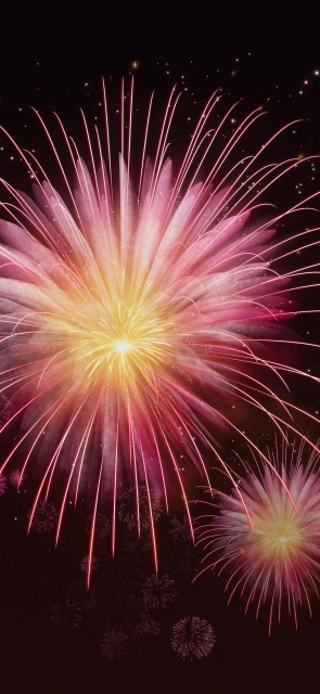 Pink and Yellow Fireworks Display
