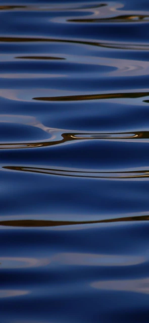 Rippled Blue Water Surface
