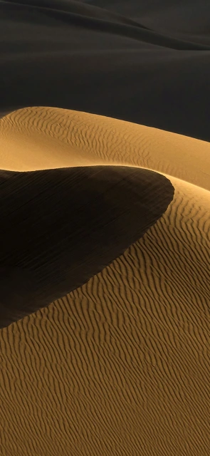 Sand Dunes With Ripples