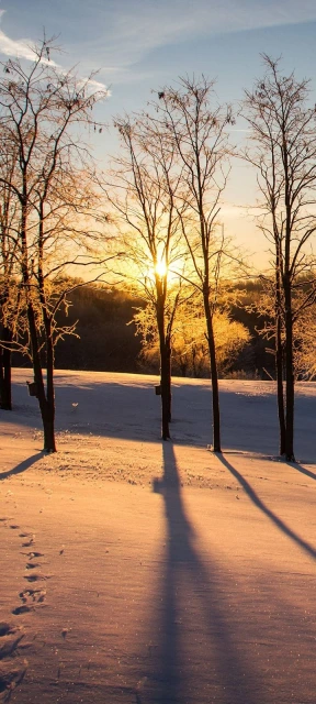 Snow Sunrise Background