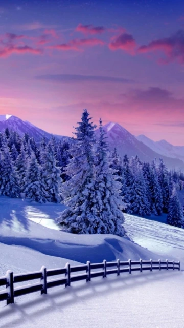 Snowy Mountain Forest Fence