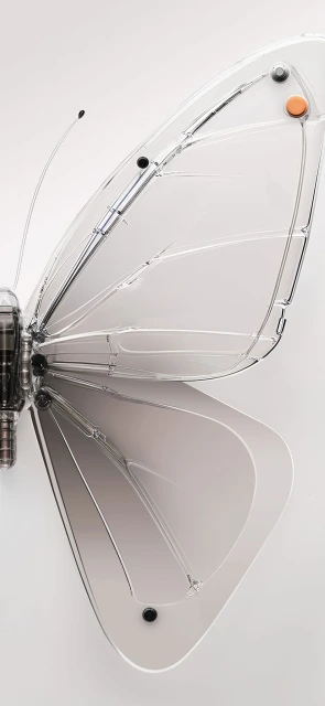 Transparent Butterfly Wing