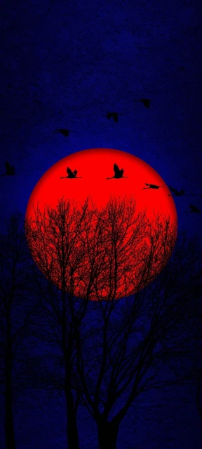 Vector Sunset Red Sun Background
