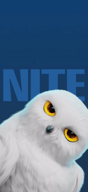 White Owl With NITE Text