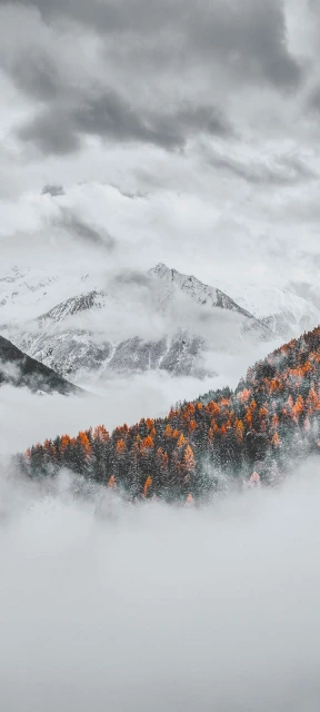 White Valley Background