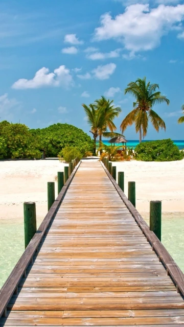 Wooden Pier to Tropical Beach