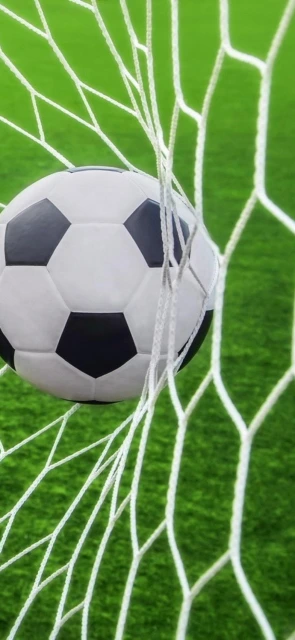 Soccer ball in goal net 1