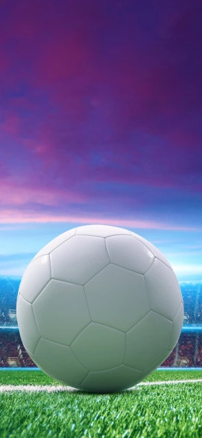 White soccer ball on grass