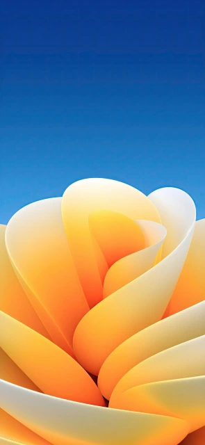 Yellow Flower Petals Against Blue Sky