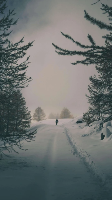A Man in Snow