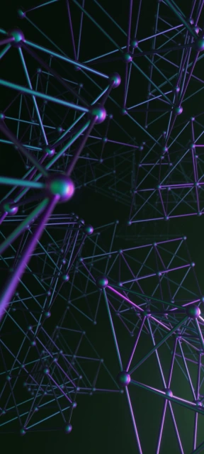 Abstract Geometric Network
