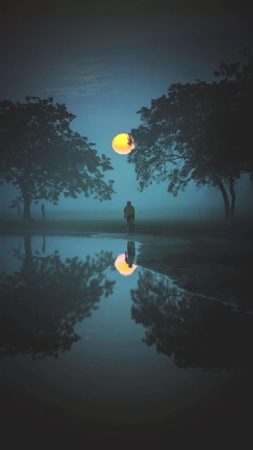 Alone Night View