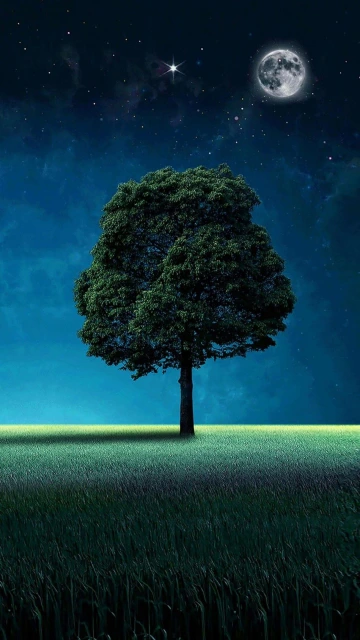 Amoled Tree With Moon