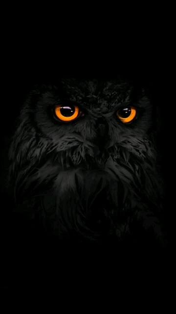 Black Owl with Orange Eyes
