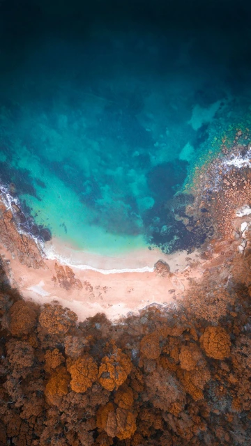 Canyon Style 4K