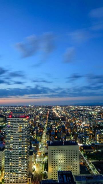 City Aerial View Buildings 4K