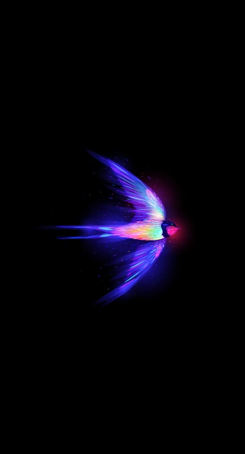 Colorful Bird Wallpaper