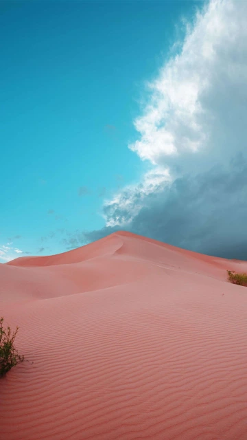 Desert Dunes Sand 4K