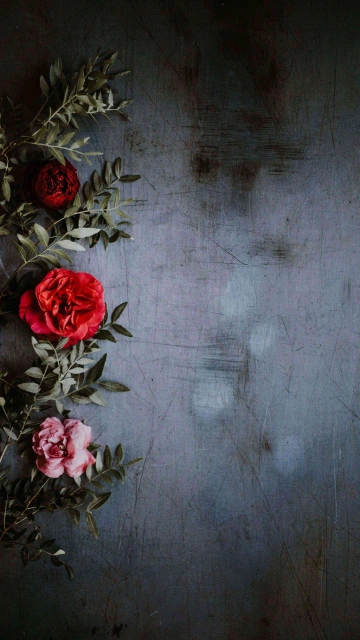Flower Phone Home Screen 4K