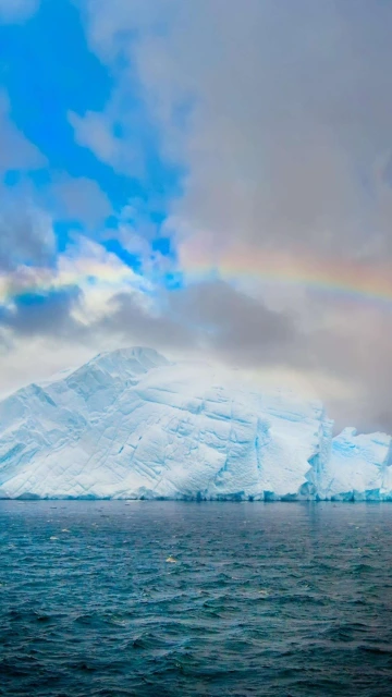 Glacier In Ocean 4K