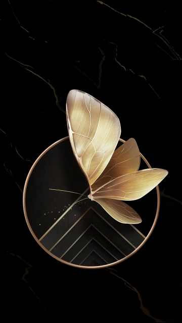 Golden Butterfly on Black Background