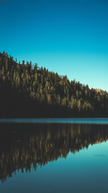 Greenery Lake 4K