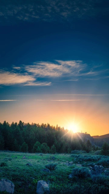 Greenery Sun Set 4K