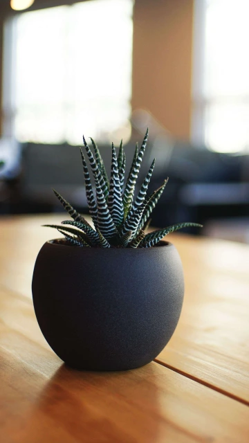 Houseplant Pot Table 4K