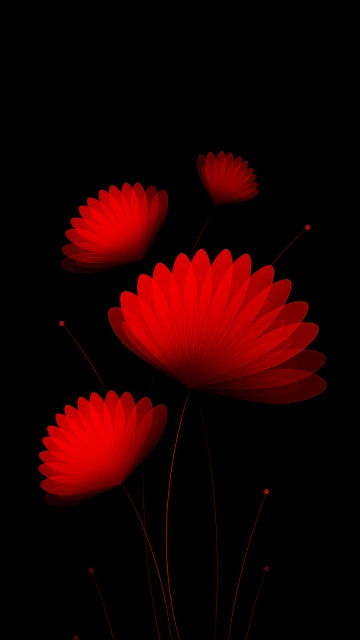 Red Flowers on Black Background