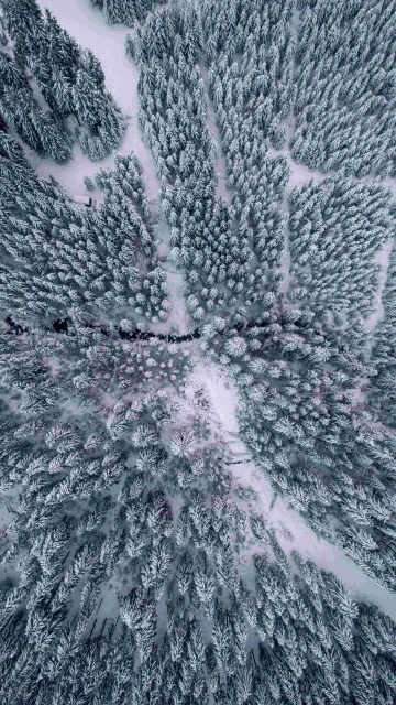 Road Covered In Snow 4K