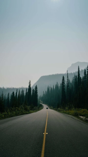 Road Marking Fog Mountains Movement 4K